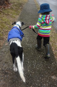 When sickness slowed her down, my 3 yo was eager and able to walk her.