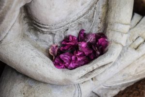 Buddha flowers